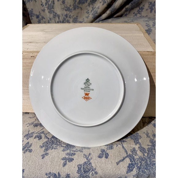 Vintage PT Bavaria Tirschenreuth Enchanting Pasco Salad Plate - Picture 6 of 7